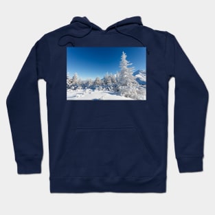 Winter mountain forest landscape, Tatry Mountains Hoodie